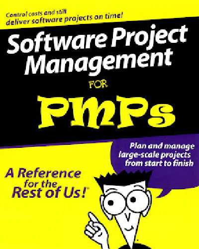 Продолжаем изучение Software Extension to the PMBOK® Guide или косяки в стандарте